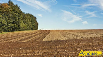 Anonse - BUJAK, działka 24000m<sup>2</sup>, rolna, możliwość podziału, Sprzedam 2,4 ha ziemie orna w jednym kawałku po 7,5zł/ m2,w miejscowości Bujak gmina Skar Anonse BUJAK, działka 24000m<sup>2</sup>, rolna, możliwość podziału, Sprzedam 2,4 ha ziemie orna w jednym kawałku po 7,5zł/ m2,w miejscowości Bujak gmina Skar