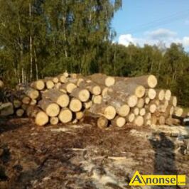 Anonse DREWNO, z transportem, do kominka, grab 420 z�/m, d�b 370z�/m,gotowe do palenia, c. od 370z�. MA�K�W