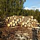 DREWNO, z transportem, do kominka, grab 420 z�/m, d�b 370z�/m,gotowe do palenia, c. od 370z�. MA�K�W