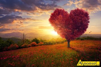 Anonse KAWALER, 34, Jestem szczeg�lnym przypadkiem, bo nie oczekuj� na kr�lewn� z bajki, lecz na kr�low� z tej�e samej bajki. Poszukuj� kobiety sta