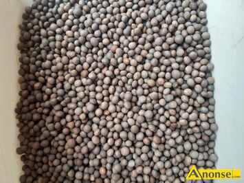 Anonse �UBIN, Sprzedam lubin Niski.wysoki ��ty Niebieski Bialy S�odki Go�ki Posiadam te� ladna peluszke milwe Seradele Wyke Gorczyce Facelie Gryke