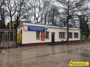 Anonse ODNAWIANIE, fv, Malowanie renowacja: -dach�w (blachodach�wka, blacha, ocynk, dach�wka betonowa, ceramiczna i gont bitumiczny) -elewacji -ogr