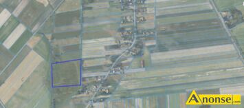 Anonse PODEDW�RZE/BOJARY, dzia�ka 3.1056m<sup>2</sup>, rolna, Sprzedam dzia�k� w wojew�dztwie lubelskim, w powiecie parczewskim, w gminie Podedw�rze, obr�b Bo