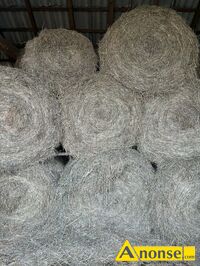 Anonse SIANO, w belkach, Sprzedam siano Rozmiar : 120cm-130cm Jedlnia 26-670 nr telefonu 603 586 246, c.70z�/sz. JEDLNIA