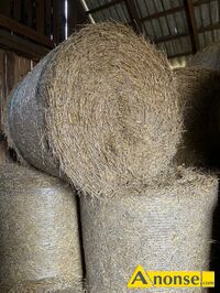 Anonse S�OMA, Sprzedam s�ome Rozmiar : 120-130 Jedlnia 26-670 Nr Telefonu : 603 586 246, c.50z�/sz. JEDLNIA