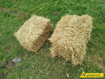 Anonse S�OMA, kostka �ytnia pszen�ytnia Gzowice mo�liwo�� dowozu, c.5z�. RADOM