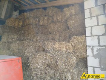 Anonse S�OMA, oko�o 2000 kostek, c.5z�. RADOM