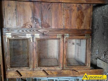 Anonse SPRZEDAM, Sprzedam now� klatk� trzy komorow� dla kr�lik�w wym120 szer 45 wys 75 jednej komory deski heblowane dwostronnie zaimpregnowane sad