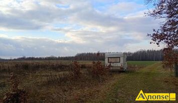 Anonse TACZOW, dzia�ka 4417m<sup>2</sup>, rolno-budowlana, Sprzedam atrakcyjnie polozonom dzia�k� w miejscowo�ci Taczow oko�o 10km od granic Radomia w pobli�u