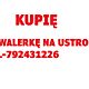 USTRONIE, M-2, 29m<sup>2</sup>, p. 0, w�asno�ciowe, kupi� kawalerk� na Ustroniu lub Pr�docinku na parterze lub 1 pi�trze lub wy�ej w wie�owcu z wind�.