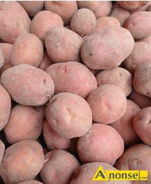 Anonse ZIEMNIAKI, Bellarosa, Witam posiadam ziemniaki bellarosa kaliber 4-5cm oko�o 1000kg, c.60z�. RADAWIEC MA�Y