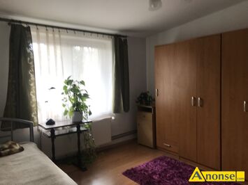 Anonse CENTRUM, M-2, 25m<sup>2</sup>, p. 1/1, dla kobiety, po remoncie, Do wynaj�cia mieszkanie 1-pokojowe z widokiem na ogr�d, blisko centrum.�adne, po remon