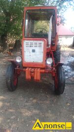Anonse - CIĄGNIK, rolniczy, WŁADIMIREC T25, Sprzedam ciągnik Władimirect25A. Z kabiną Ruską rok 1995r mg 2890 motogodzin posiada również kompresator Anonse CIĄGNIK, rolniczy, WŁADIMIREC T25, Sprzedam ciągnik Władimirect25A. Z kabiną Ruską rok 1995r mg 2890 motogodzin posiada również kompresator