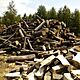 DREWNO, z transportem, do pieca, do kominka, Drewno �upane grab, d�b, inne li�ciaste i iglaste gotowe do palenia, c. od 300z�. MA�K�W 663-