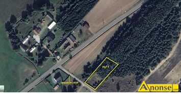 Anonse LEWASZ�WKA GM.JASTRZ�BIA, POW.RADOM, dzia�ka 2938m<sup>2</sup>, budowlana, atrakcyjne po�o�enie, spokojna okolica, pierwsza w pasie zabudowy, wjazd z d