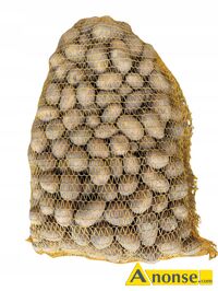 Anonse ZIEMNIAKI, vineta, ziemniaki jadalne, dost�pne nawet powy�ej 500 kg, c.1z�/kg. WOLA NIEMIECKA