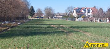 Anonse LUBLIN, UL. PTASIA, dzia�ka 3944m<sup>2</sup>, budowlana, pierwsza w pasie zabudowy, wjazd z drogi asfaltowej, cz�ciowo ogrodzona, gaz, pr�d, Dzia�ka