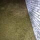 OWIES, Sprzedam owies oko�o 4 ton, c.55z�/q. GULIN