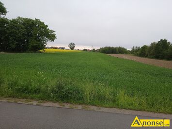 Anonse JAKUBOWICE KONI�SKIE KOL, dzia�ka 1500m<sup>2</sup>, budowlana, Dzialka budowlana w Kalinowicach koni�skich koloni przy ulicy Czeremchowa, c.320z�/m<sup>2</sup>.