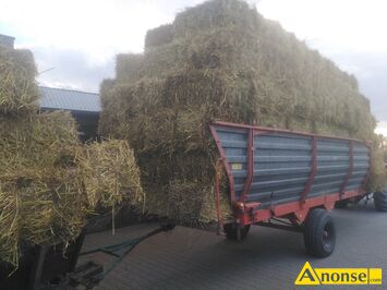 Anonse S�OMA, owsiana, w kostkach, czysta bez chwast�w du�e kostki 5z�/sz mam tez �ytni� du�e kostki 6zl/sz czysta po �ycie dankoskim zlotym s�oma