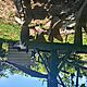 P�UG, Sprzedam p�ug 3 skibowy, stan dobry, c.1.000z�. CZERWONA G�RA
