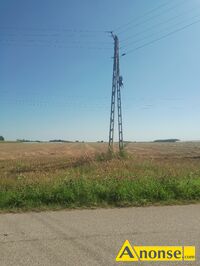 Anonse - GMINA PRZYTYK, grunt 20600m<sup>2</sup>, Ponad 2 ha ziemi rolnej spadzistej na trasie Maksymilianow Glinice działka nr 29 o wymiarach 102 na 203 metra Anonse GMINA PRZYTYK, grunt 20600m<sup>2</sup>, Ponad 2 ha ziemi rolnej spadzistej na trasie Maksymilianow Glinice działka nr 29 o wymiarach 102 na 203 metra