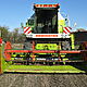 KOMBAJN, zbo�owy, Claas Dominator 98sl. Skrzynia hydrosta Heder kompaktowy 3,90 idealny na przejazdy, ze sto�em do rzepaku. Kombajn jest z