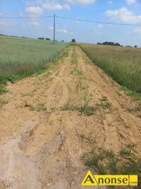 Anonse WIDOKOWA, dzia�ka 1030m<sup>2</sup>, rolna, przy g��wnej drodze, wjazd z drogi asfaltowej, pierwsza w pasie zabudowy, mo�liwo�� przy��czenia wody, mo�l