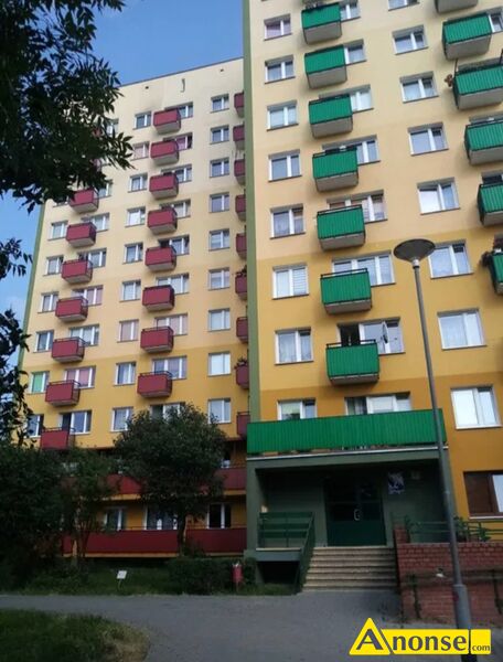 CZNA  CENTRUM , M-3, 32m2, p. 5/10, spdzielcze-wasnociowe,informacje dodatkowe: do zamieszkan - image 0 - anonse.com
