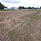 JAKUBOWICE  KONISKIE KOLONIA, dziaka 1500m2, budowlana,opis dodatkowy: Dziaka budowlana w Jakubo - image 1 - anonse.com