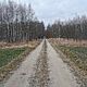 PARZNICE , dom 80m2, parterowy, na dziace 21930m2, stan deweloperski, czciowo ogrodzony,media: s - image 3 - anonse.com