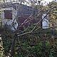 RADOM -DZIERZKW, dziaka 290m2, rekreacyjna,opis dodatkowy: Sprzedam prawo do dziaki ROD Jonatan - image 7 - anonse.com