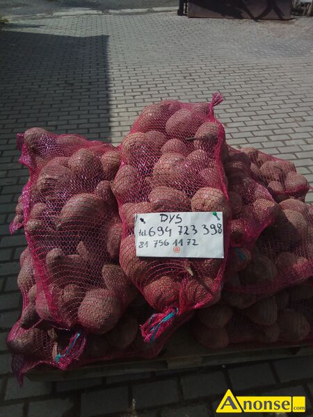 Buraczki  czerwone,opis dodatkowy: Na pasz  - image 0 - anonse.com