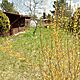 ROD  STORCZYK RADOM, dziaka 442m2, rekreacyjna,opis dodatkowy: Sprzedam dziak na ogrodzie Storc - image 3 - anonse.com