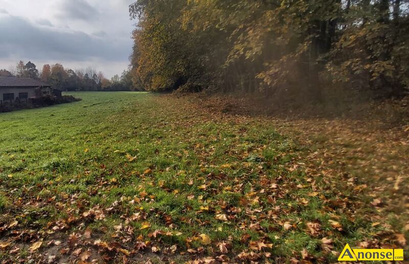 LISIA  GRA, dziaka 18088m2, komercyjna,opis dodatkowy: Sprzedam dziak inwestycyjn o powierzchn - image 0 - anonse.com