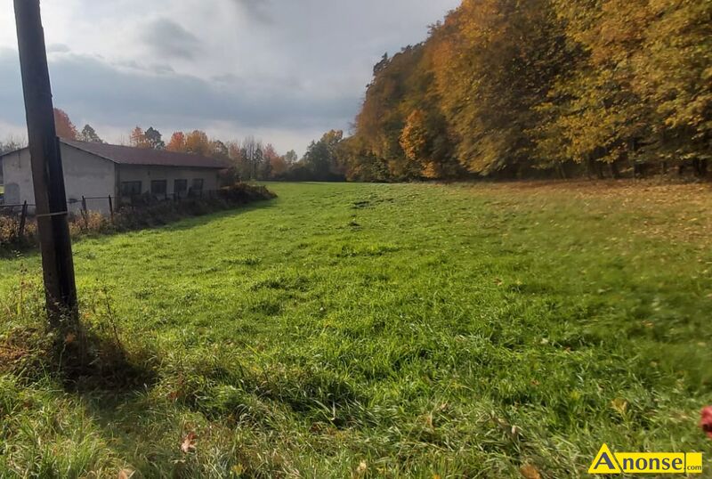 LISIA  GRA, dziaka 18088m2, komercyjna,opis dodatkowy: Sprzedam dziak inwestycyjn o powierzchn - image 0 - anonse.com
