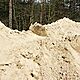 PIACH  LENY,opis dodatkowy: POSPӣKA NA PODSYPK POD KOSTK,DO ZASYPYWANIA FUNDAMENTW ITP, ZIEMIA - image 1 - anonse.com