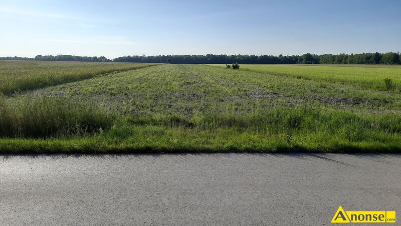 ZAKRZEW -LAS , dziaka 1000m2, budowlana,opis dodatkowy: Sprzedam 3 dziaki budowlane powierzchnia  - image 0 - anonse.com