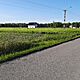 ZAKRZEW -LAS , dziaka 1000m2, budowlana,opis dodatkowy: Sprzedam 3 dziaki budowlane powierzchnia  - image 3 - anonse.com