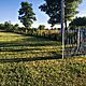 JASTRZB , dziaka 1066m2, budowlana, spokojna okolica, ogrodzona, atrakcyjne pooenie, wjazd z dr - image 4 - anonse.com