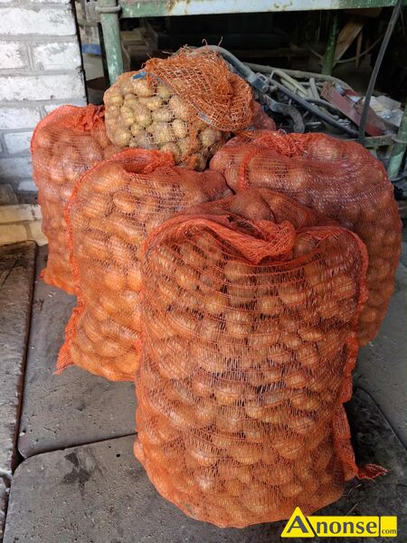 Ziemniaki   , Odpadowe,opis dodatkowy: Sprzedam, ziemniaki odpadowe/paszowe. Na ten moment posiadam - image 0 - anonse.com