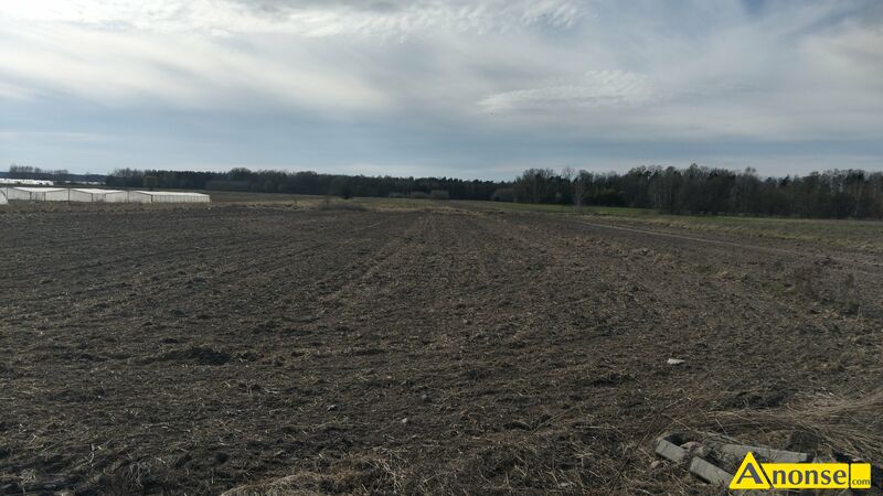 GROTKI  , dzia�ka 29600m2, rolna,opis dodatkowy: Sprzedam dzia�k� roln� 3ha w miejscowo�ci Grotki g - image 0 - anonse.com