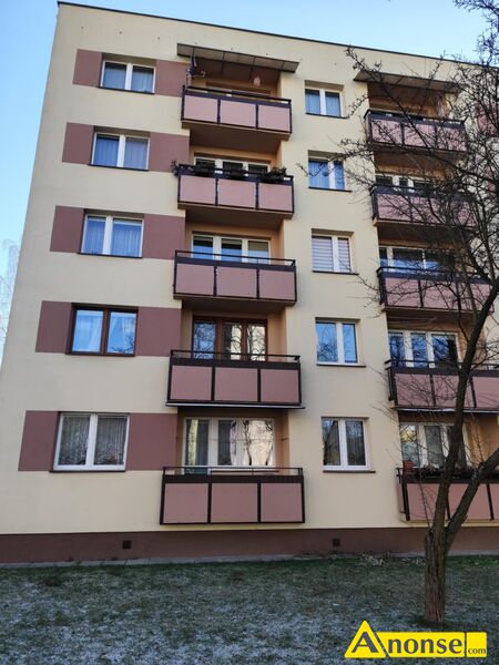 DOCIEPLENIA ,opis dodatkowy: Elewacje Docieplenia Prace dekarskie Parapety Sztukateria

-kompleksow - image 0 - anonse.com