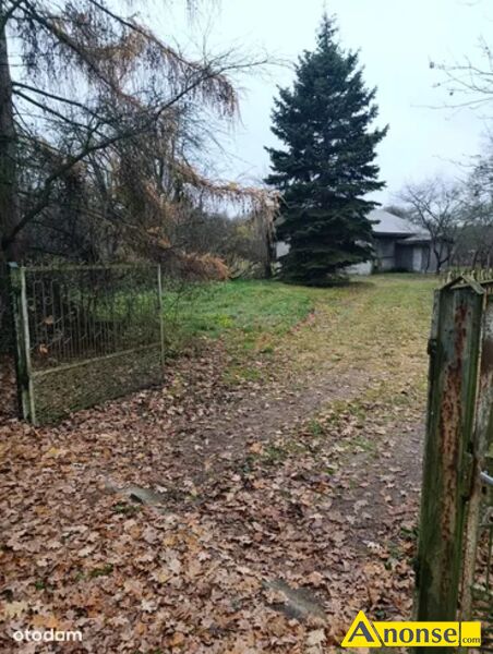 JEDLNIA  LETNISKO, dzia�ka 3500m2, budowlana, spokojna okolica, mo�liwo�� podzia�u, ogrodzona, zadr - image 0 - anonse.com